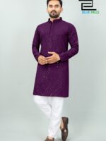 Traditional Kurta Pant Chikankari Work with Sequence 2 Piece Set