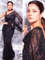 Jamin Bhasin Bollywood Designer Saree & Blouse with Embroidery Sequence work