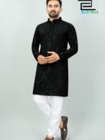 Traditional Kurta Pant Chikankari Work with Sequence 2 Piece Set