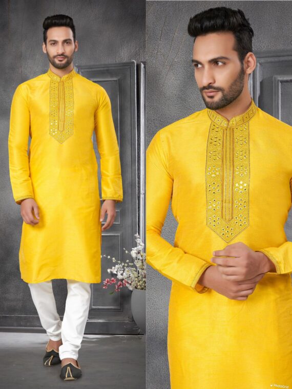 Raymond Ethnic Wear Kurta Pant with Embroidery work 2 piece Set