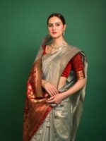 Premium Tussar Silk Patola weaving Saree with Blouse Zari woven border
