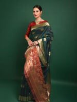 Premium Tussar silk Patola weaving Saree with Blouse zari woven border