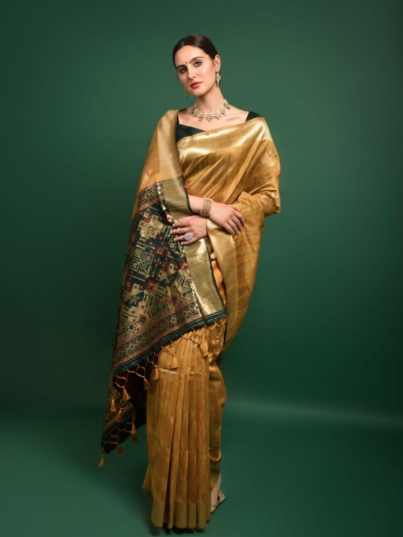 Premium Tussar silk Patola weaving Saree with Blouse zari woven border