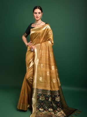 Premium Tussar silk Patola weaving Saree with Blouse zari woven border