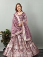 Banarasi Organza Lehenga Choli 3 Piece Set