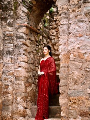 Designer Saree with Weaving Pattern with Sequence Saree with Blouse