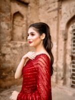 Designer Saree with Weaving Pattern with Sequence Saree with Blouse