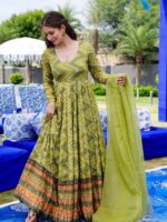 Chinnon Gown dress and flowing organza dupatta 2 Piece Set 