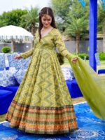 Chinnon Gown dress and flowing organza dupatta 2 Piece Set 