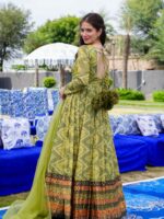 Chinnon Gown dress and flowing organza dupatta 2 Piece Set 